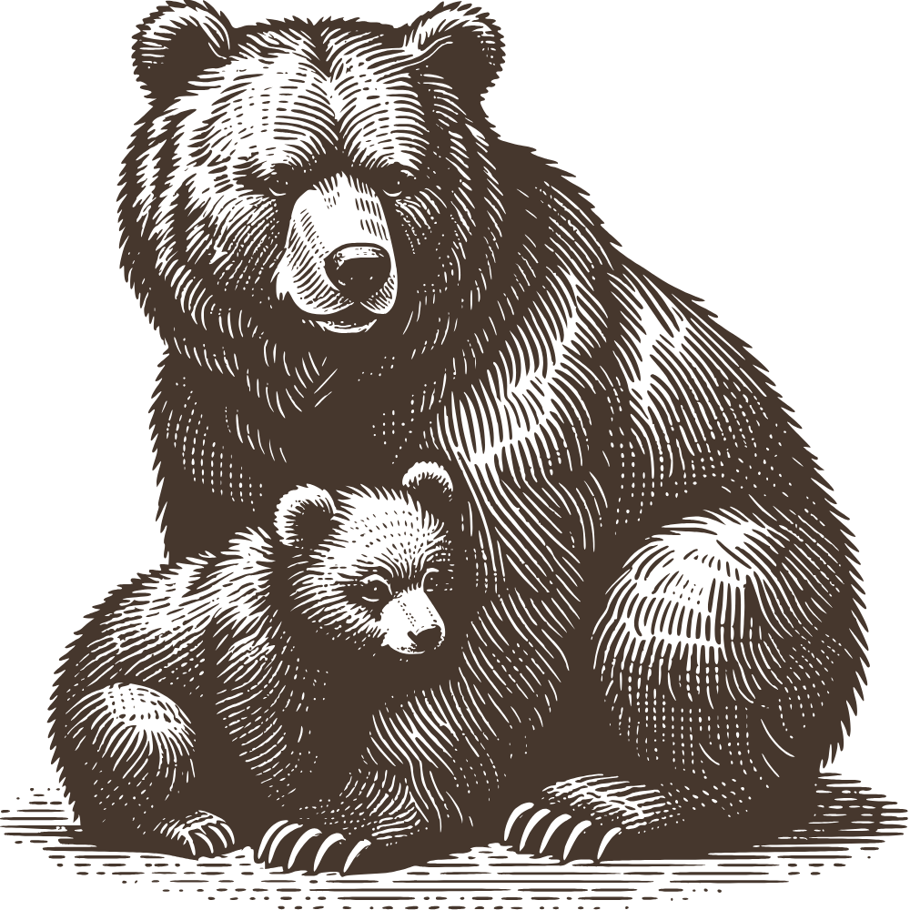 A detailed illustration of three bears, with one large bear and two smaller bears, possibly a mother and her cubs.