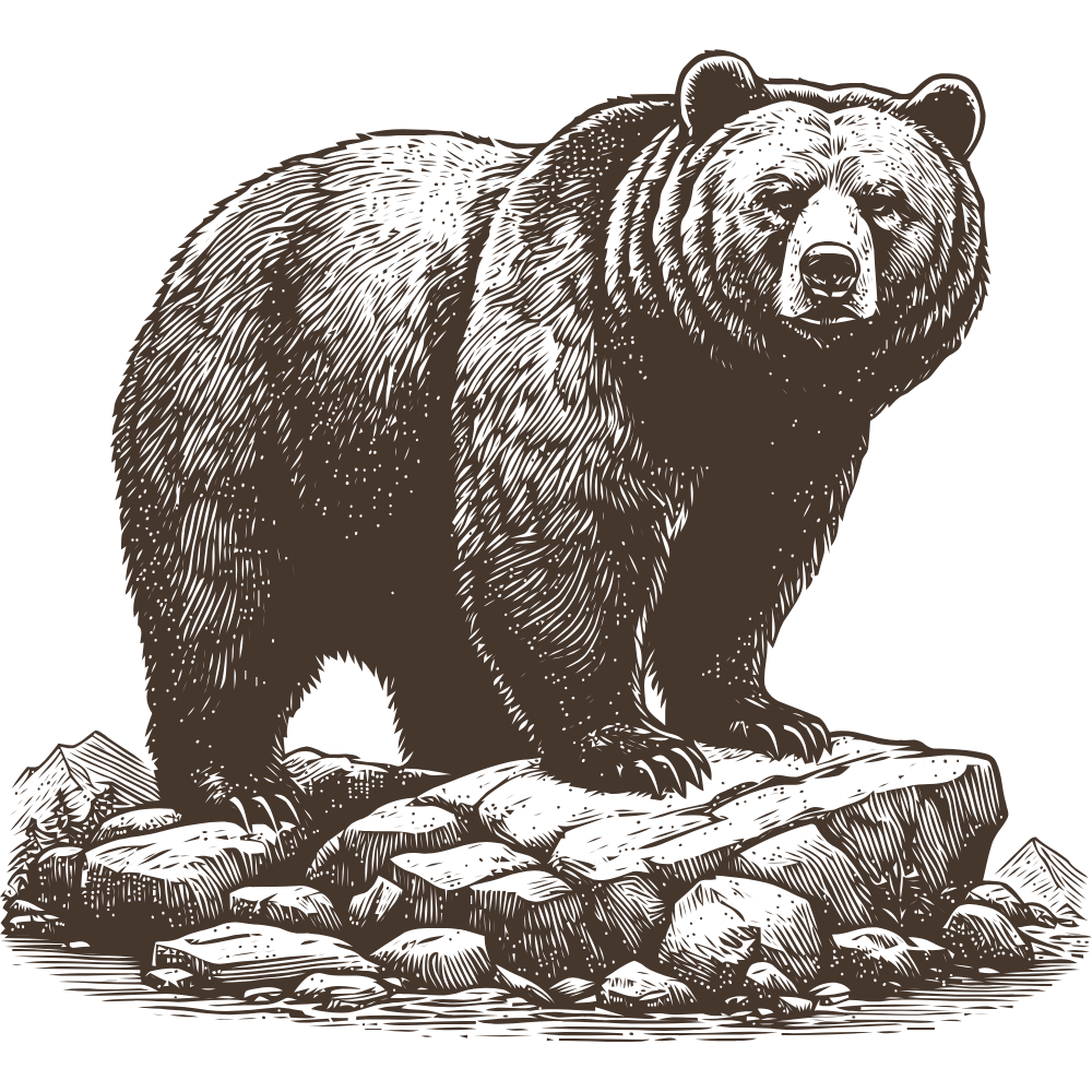 Illustration of a bear standing on rocks with its mouth open.