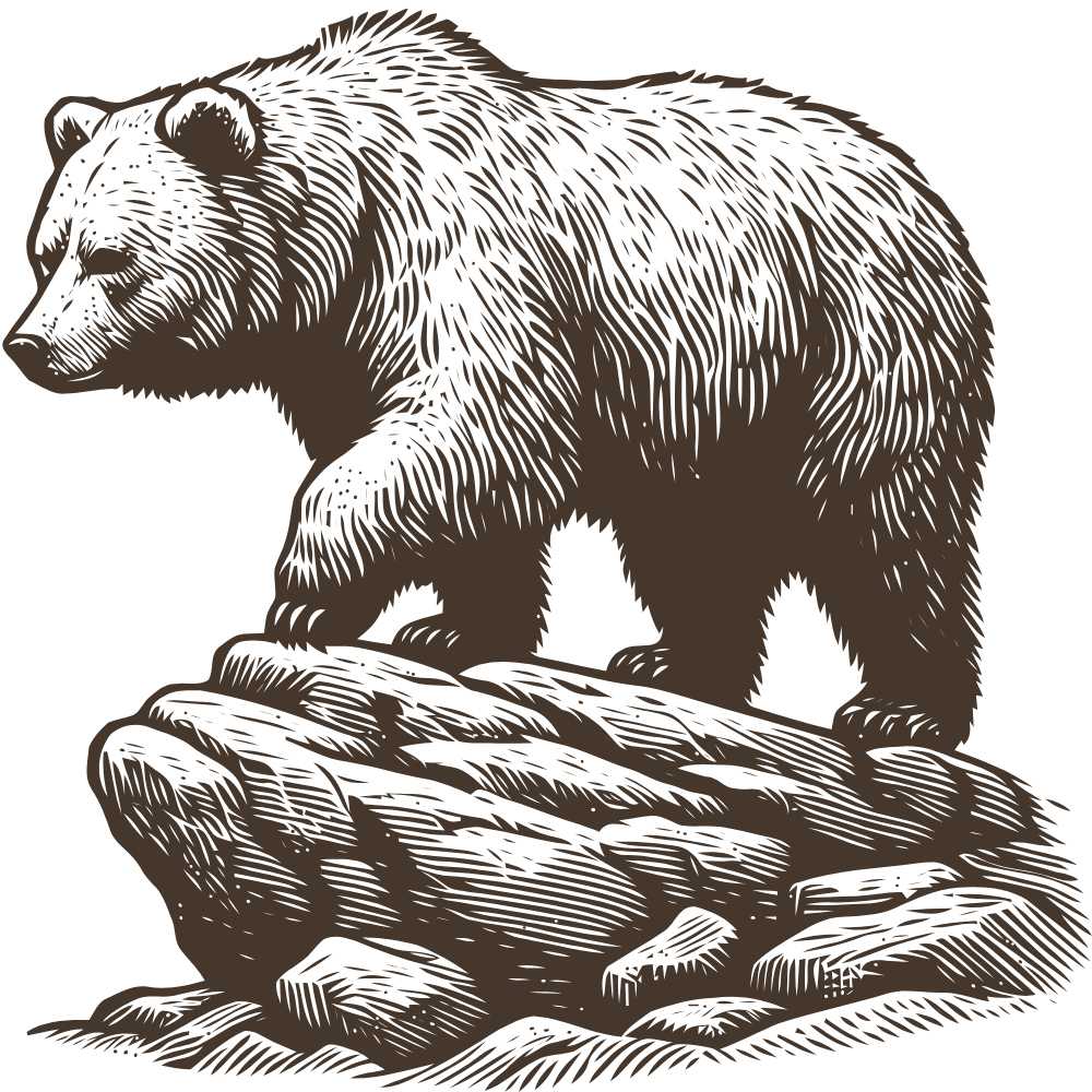 Illustration of a brown bear standing on rocks, facing left, with detailed fur and features.