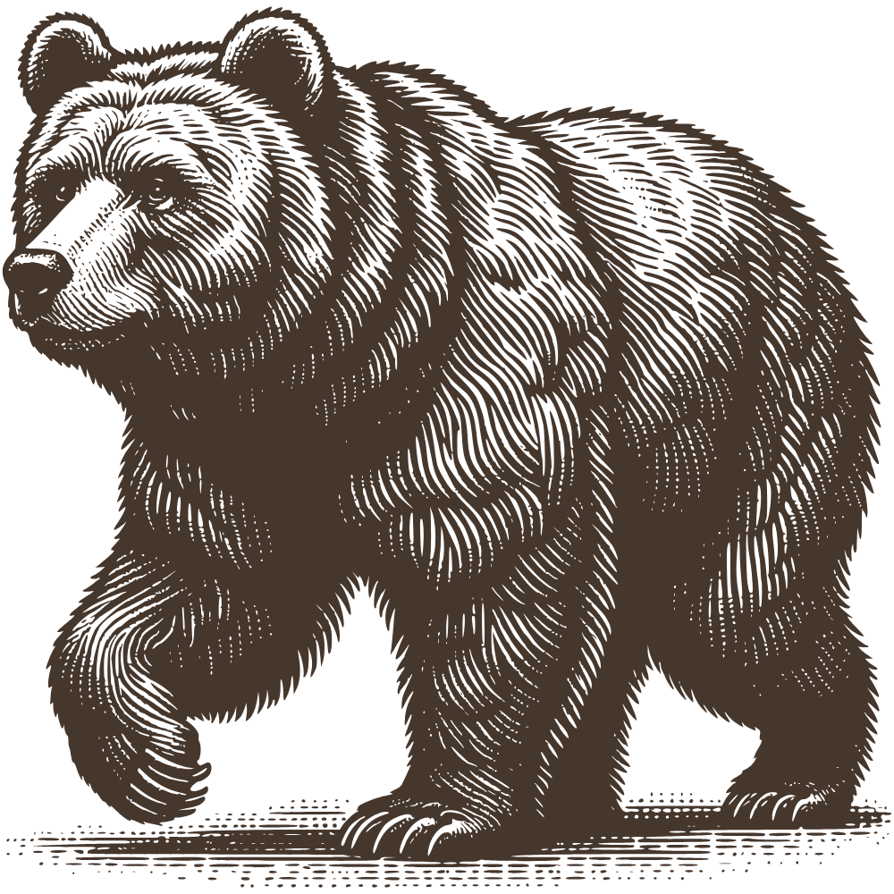 Illustration of a brown bear with detailed fur walking towards the left, on a black background.