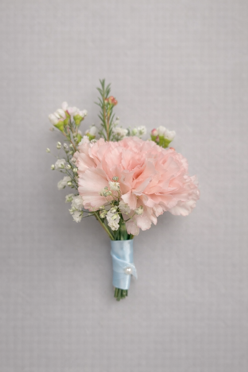 Carnation