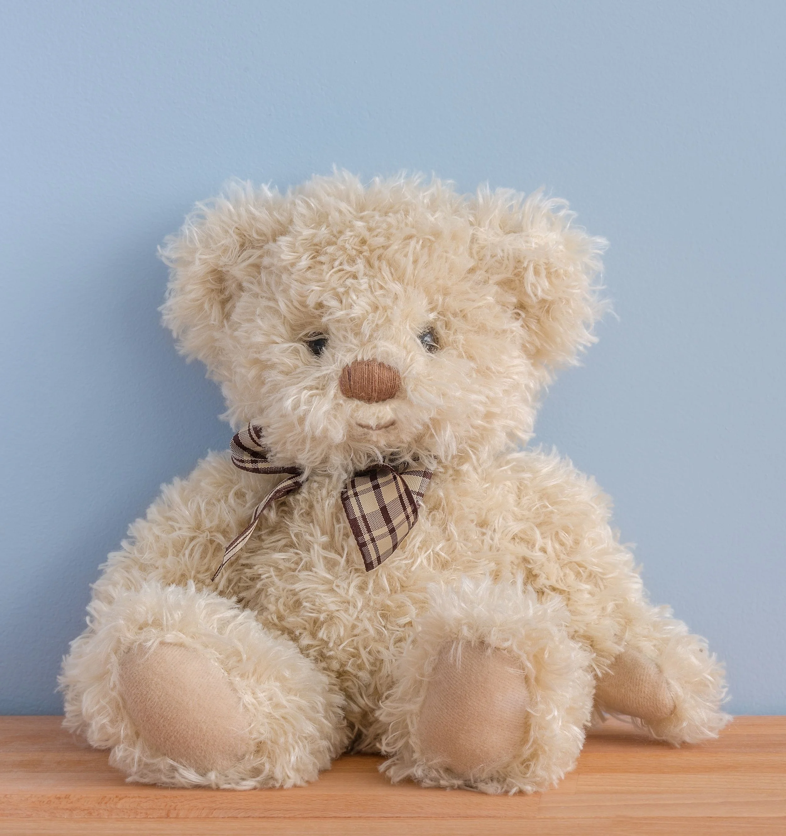 Teddy Bear