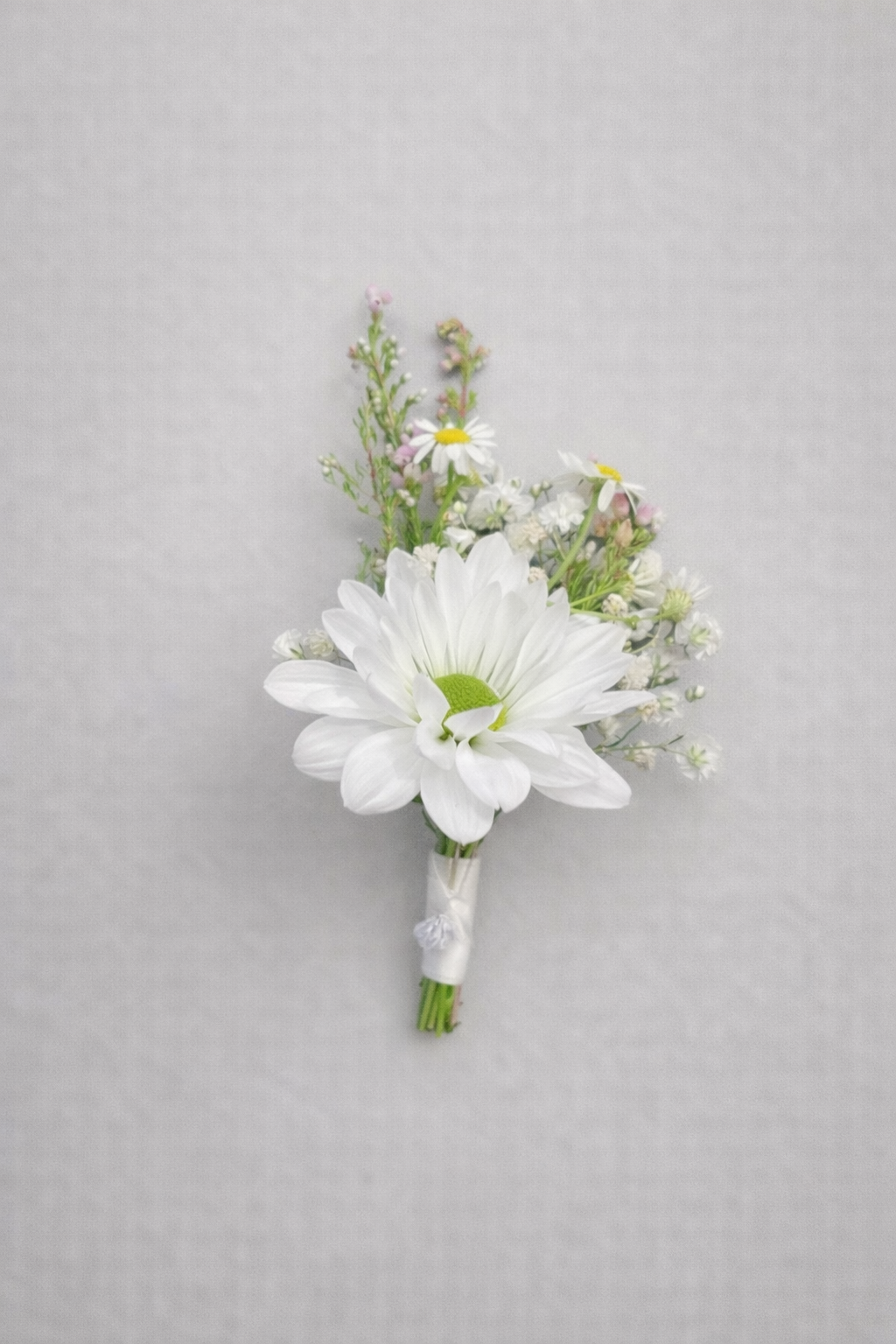 Daisy