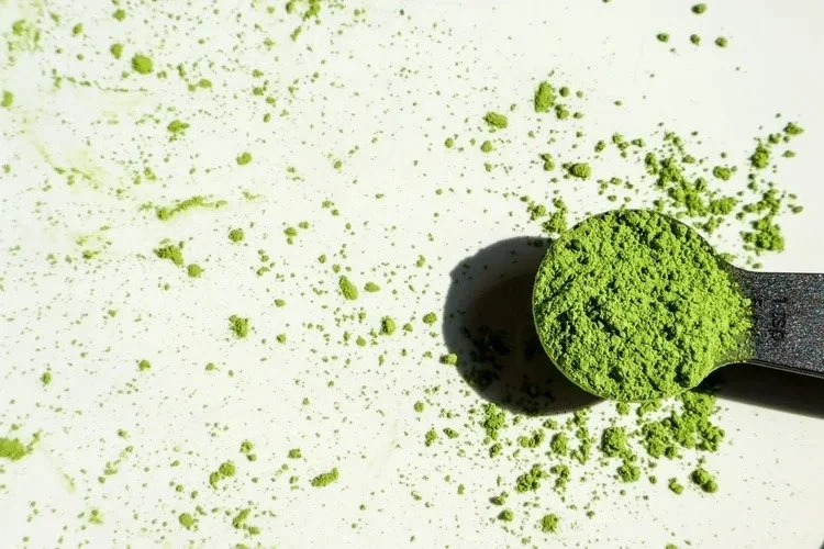 Green powdered supplement in a black measuring scoop with scattered powder on a white surface.