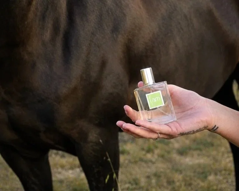 Hand holding an I AM Fragrance perfume bottle beside a horse outdoors.