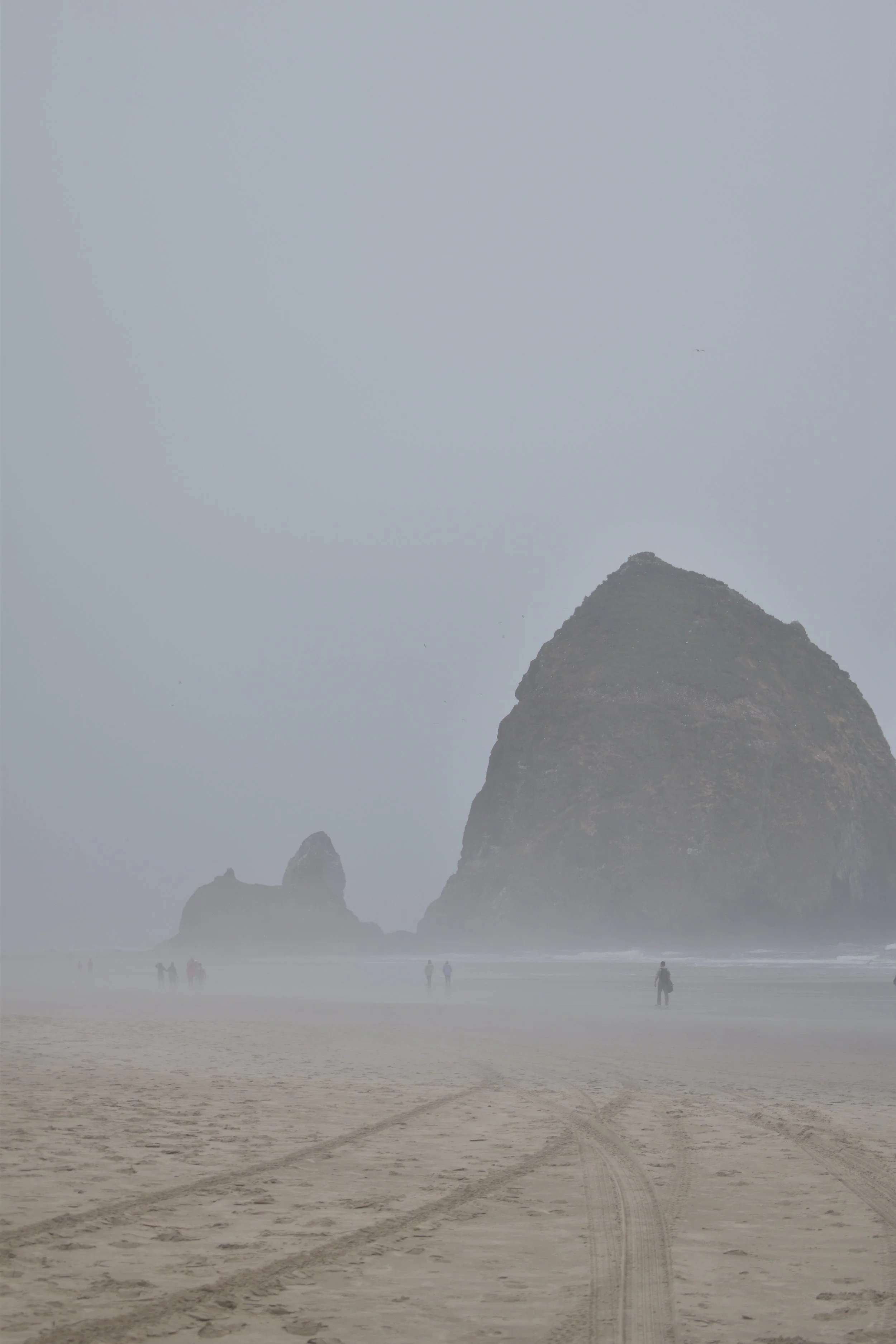 DSC_1313.JPG