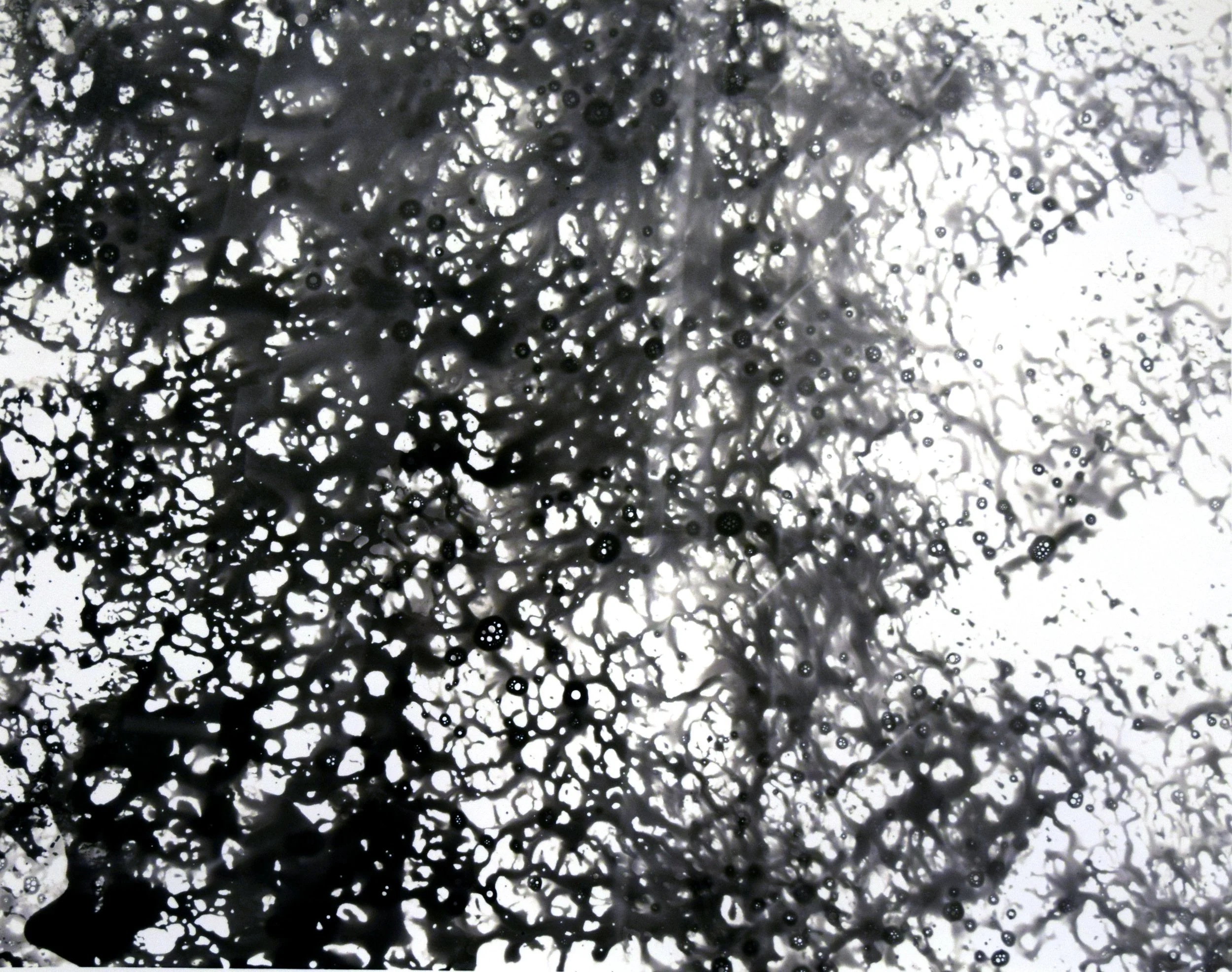 print2.jpg