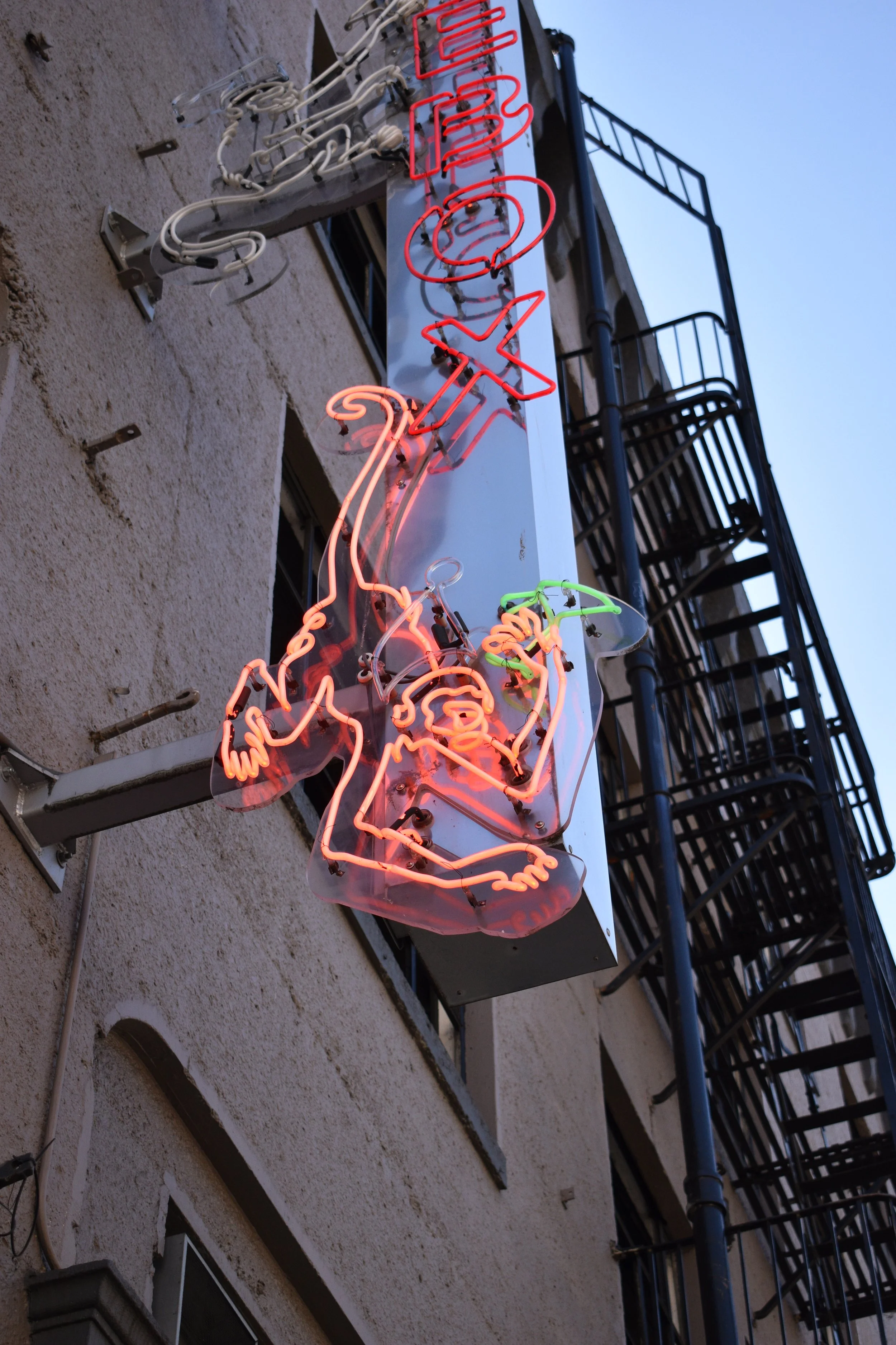 DSC_0884.JPG