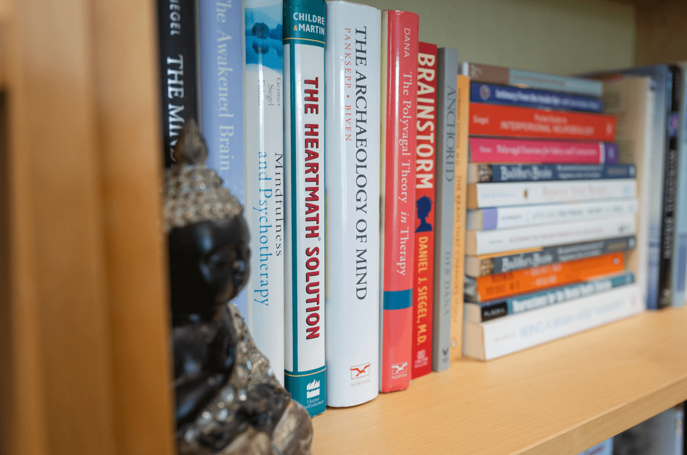 Close-up of a row of books on a wooden shelf, with titles related to psychology, therapy, and social issues visible.