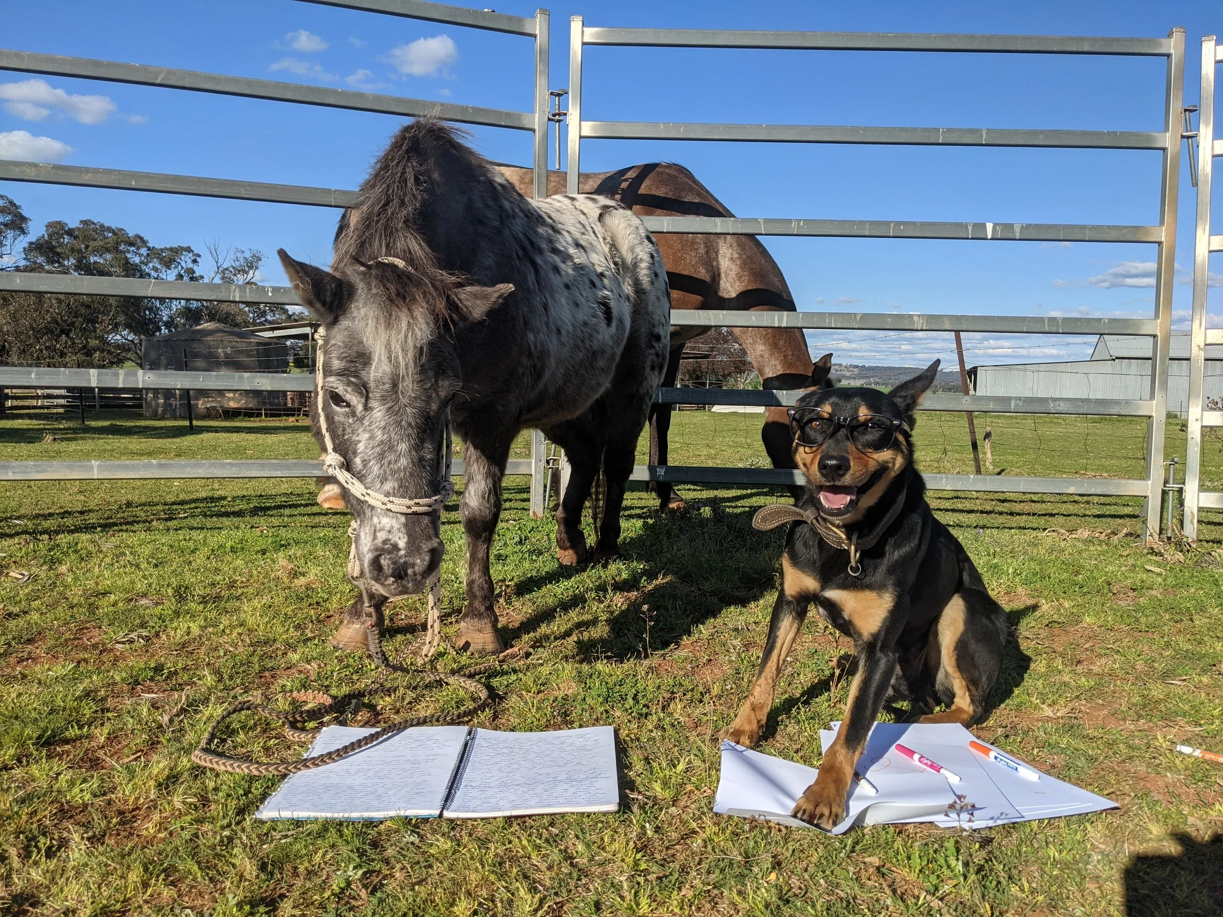 Toby and Dotty