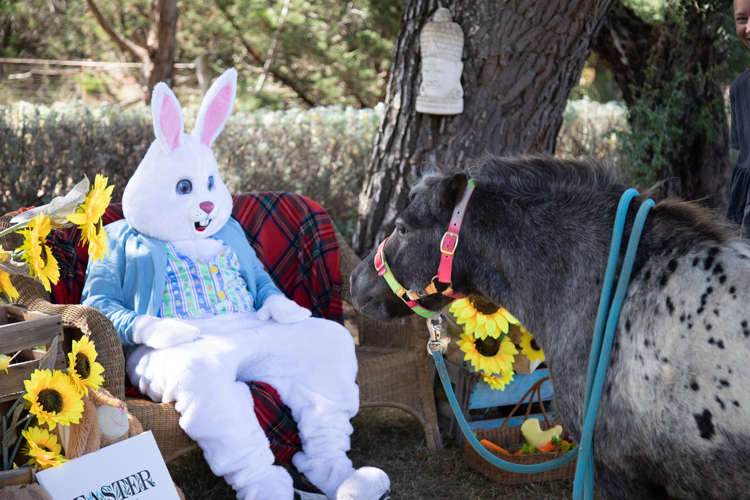 Dotty Easter 2022