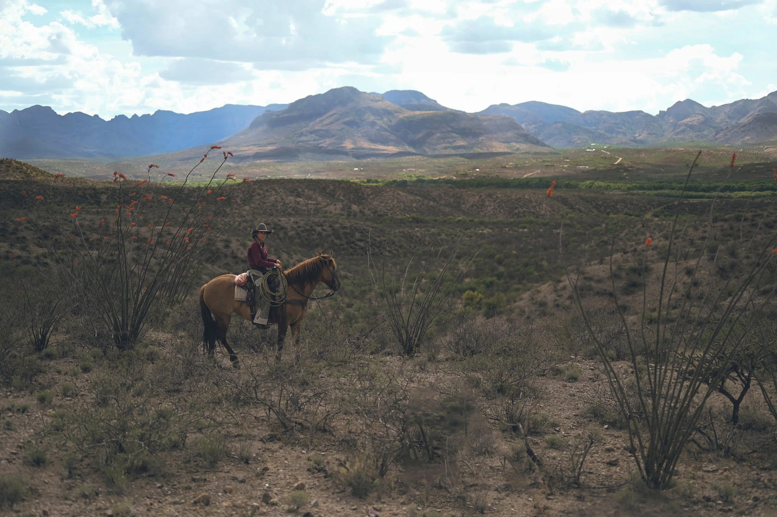 Horseback riding along the Santa Cruz River on a Tubac dude ranch vacation.