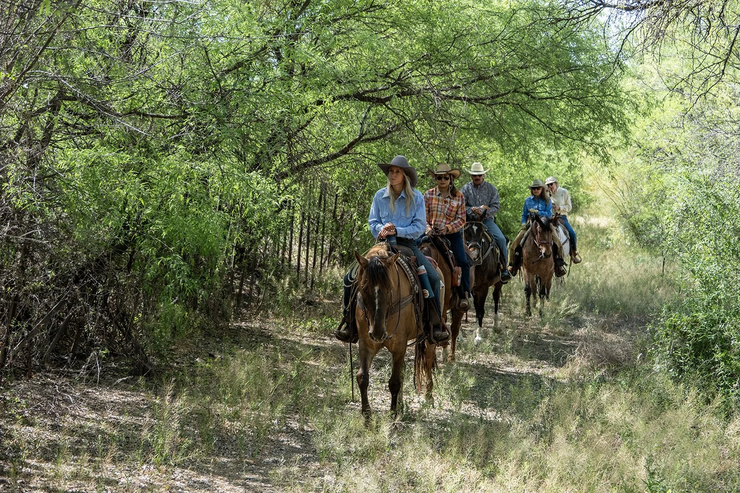 Horseback riding in the Santa Cruz River valley at Otero Ranch at Tubac Golf Resort. 