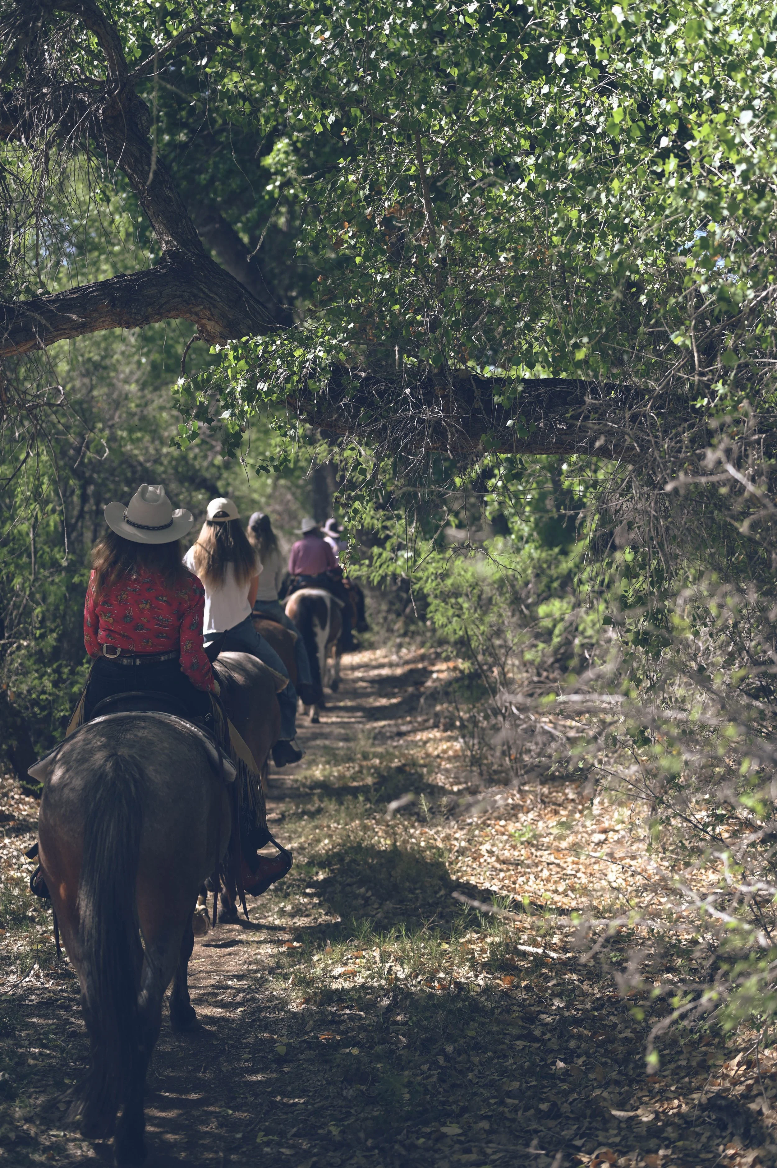 Horseback riding in Tubac, Arizona, on a dude ranch vacation.