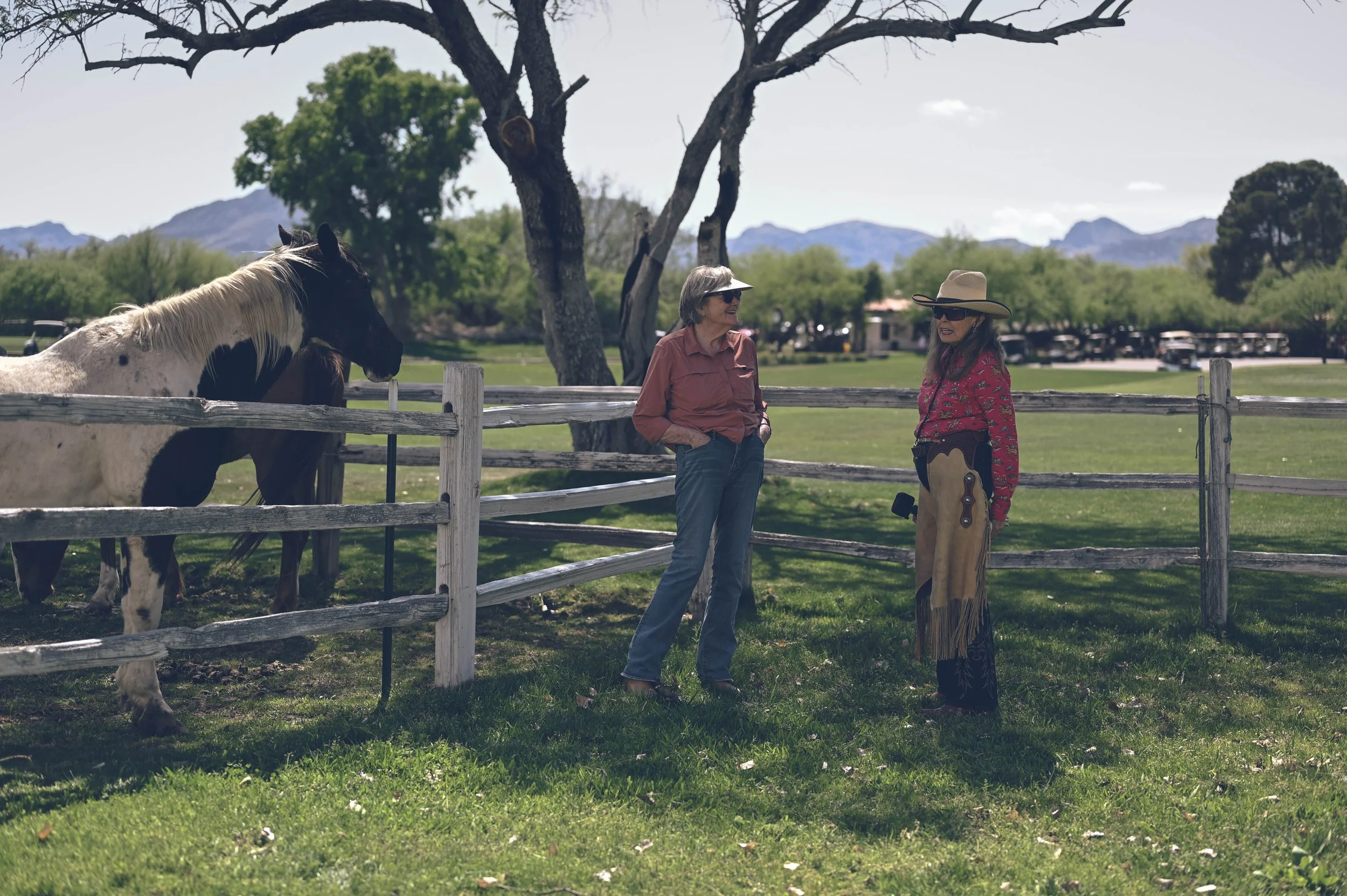 Guests stand around horses on a dude ranch vacation in Tubac, Arizona.