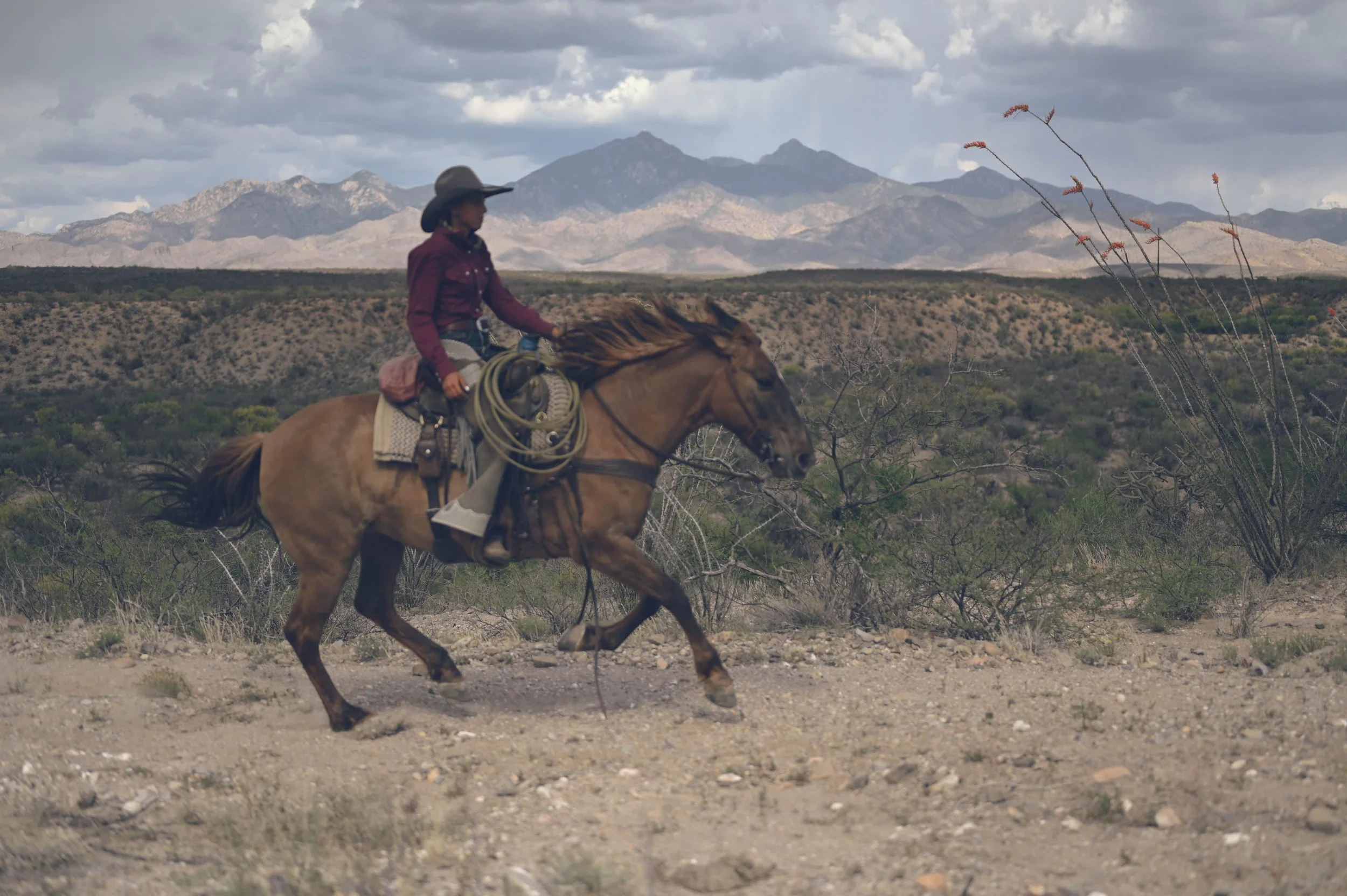 Loping a horse in the Santa Cruz River Valley.