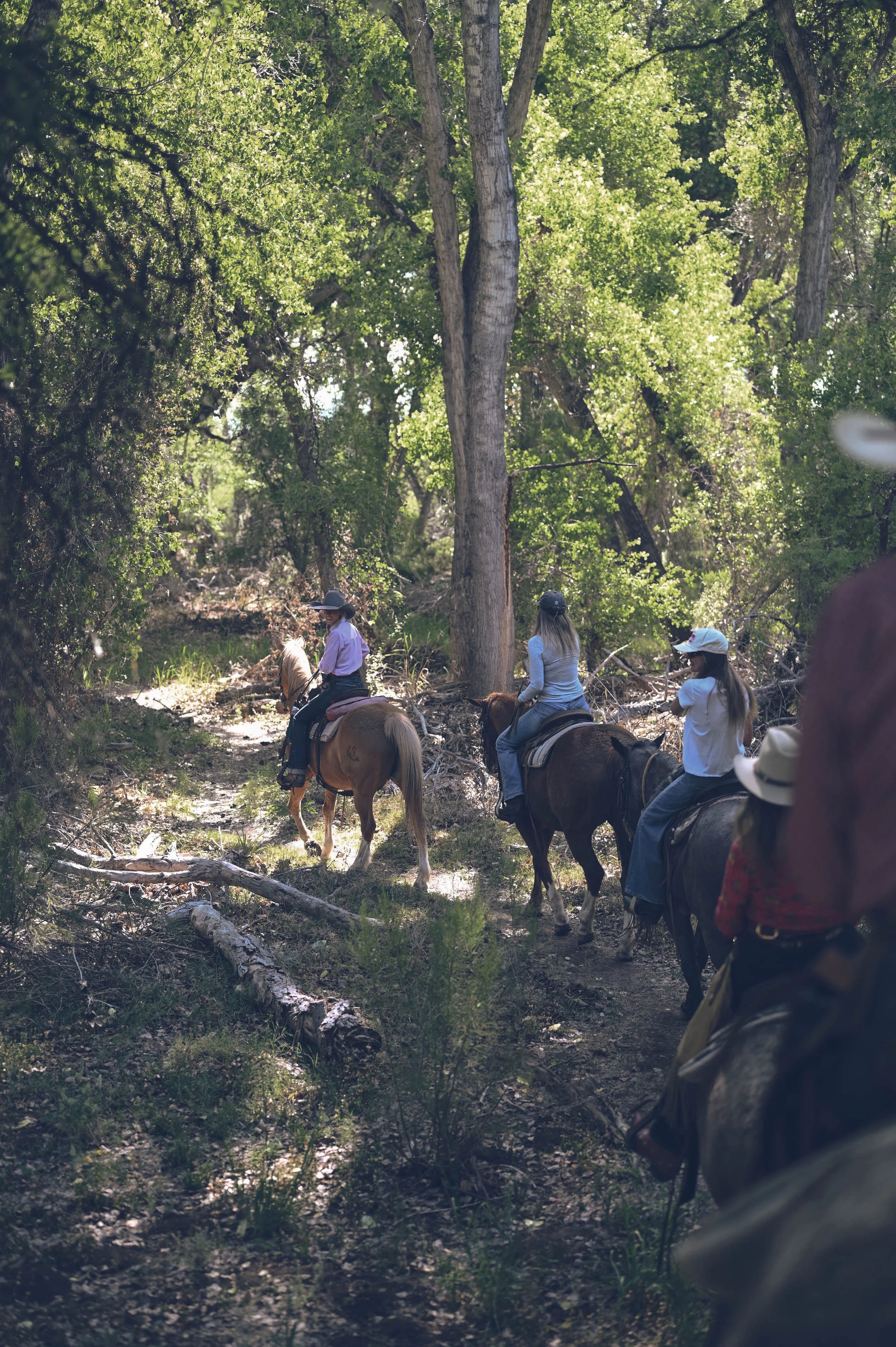 Riding along the Santa Cruz River during a Southern Arizona dude ranch vacation.