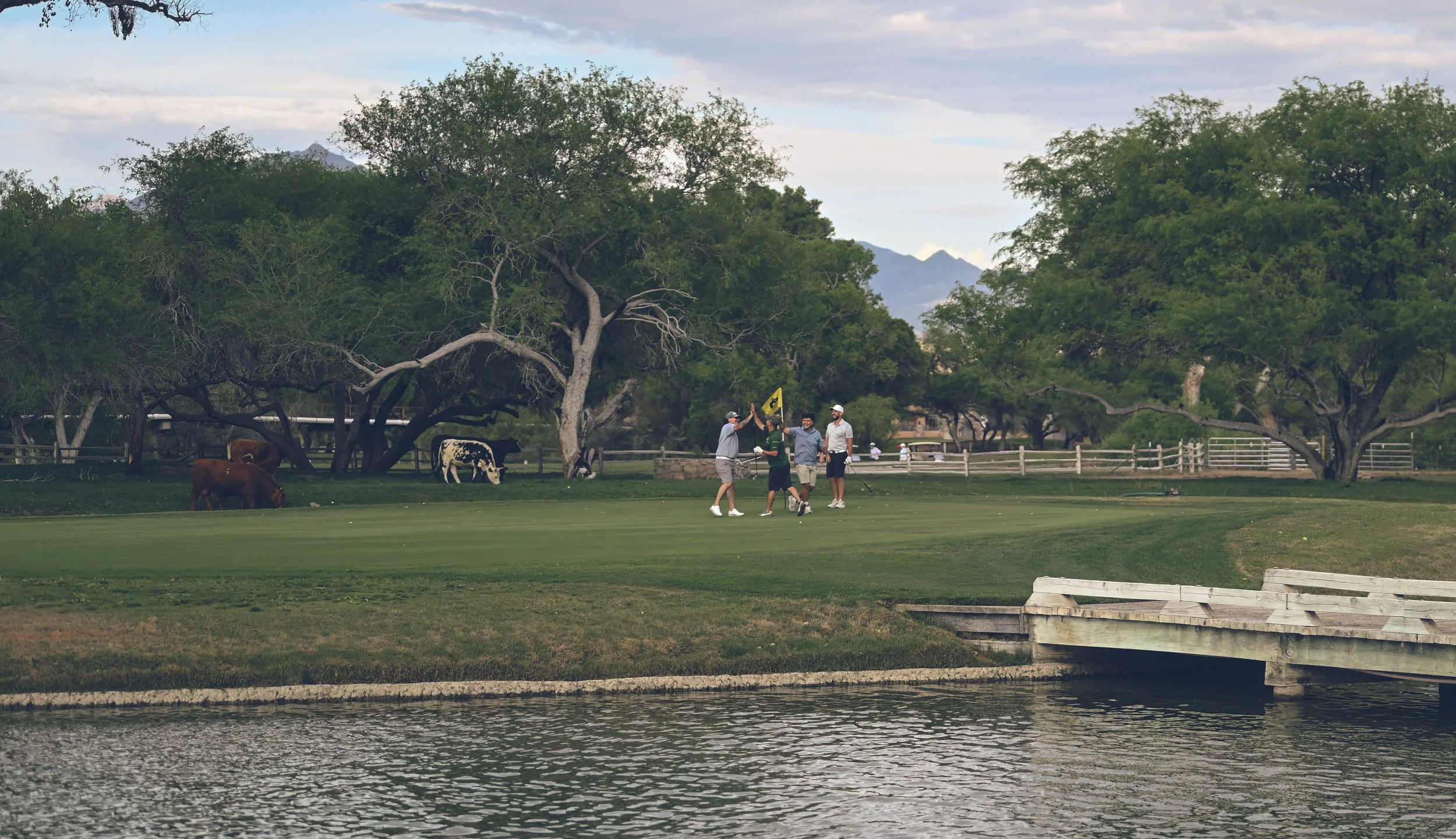 A group on golfers on a golf vacation in Southern Arizona.