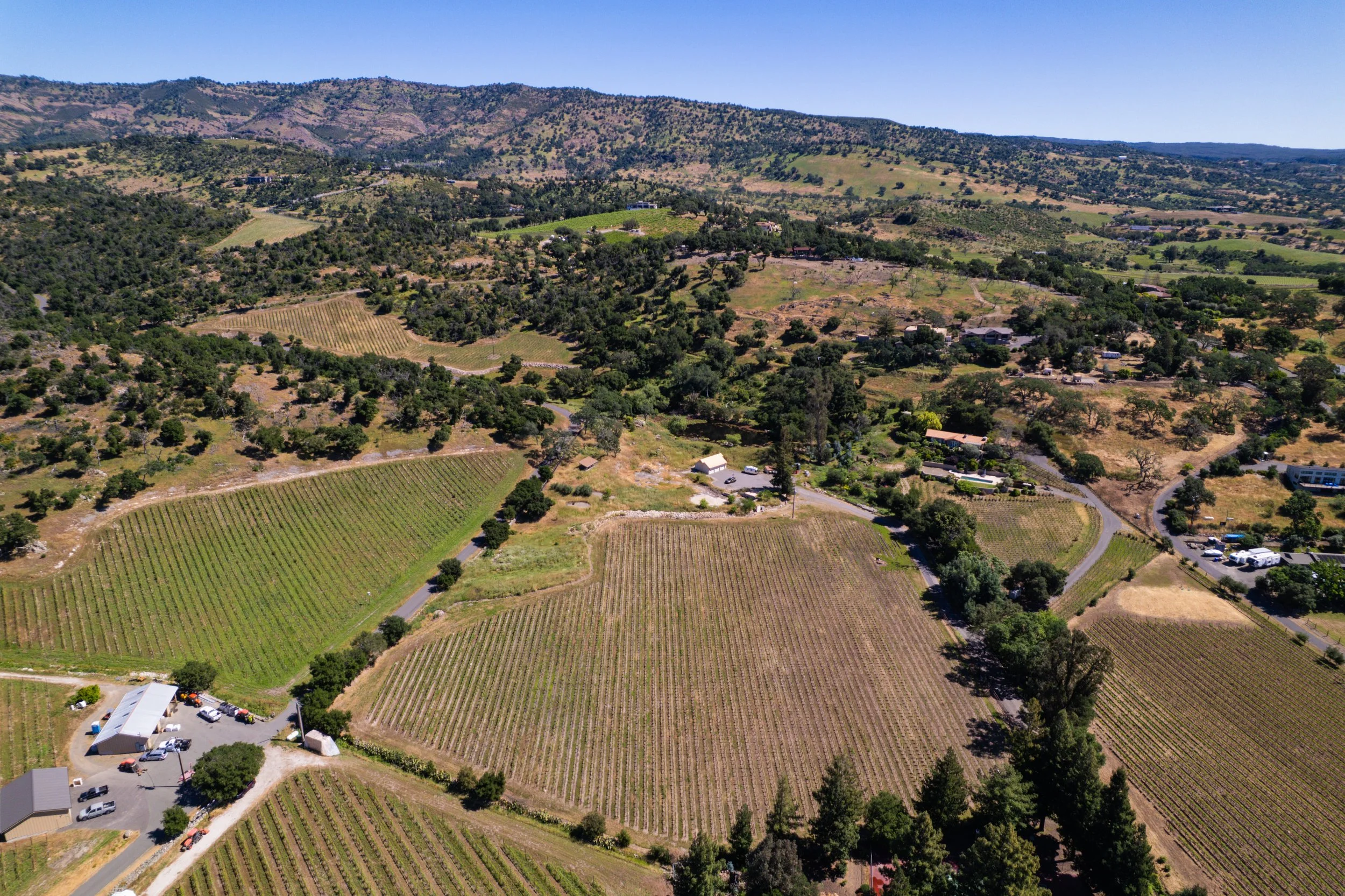 Aerial view of hilly rural landscape with vineyards, trees, and scattered buildings under a clear blue sky.