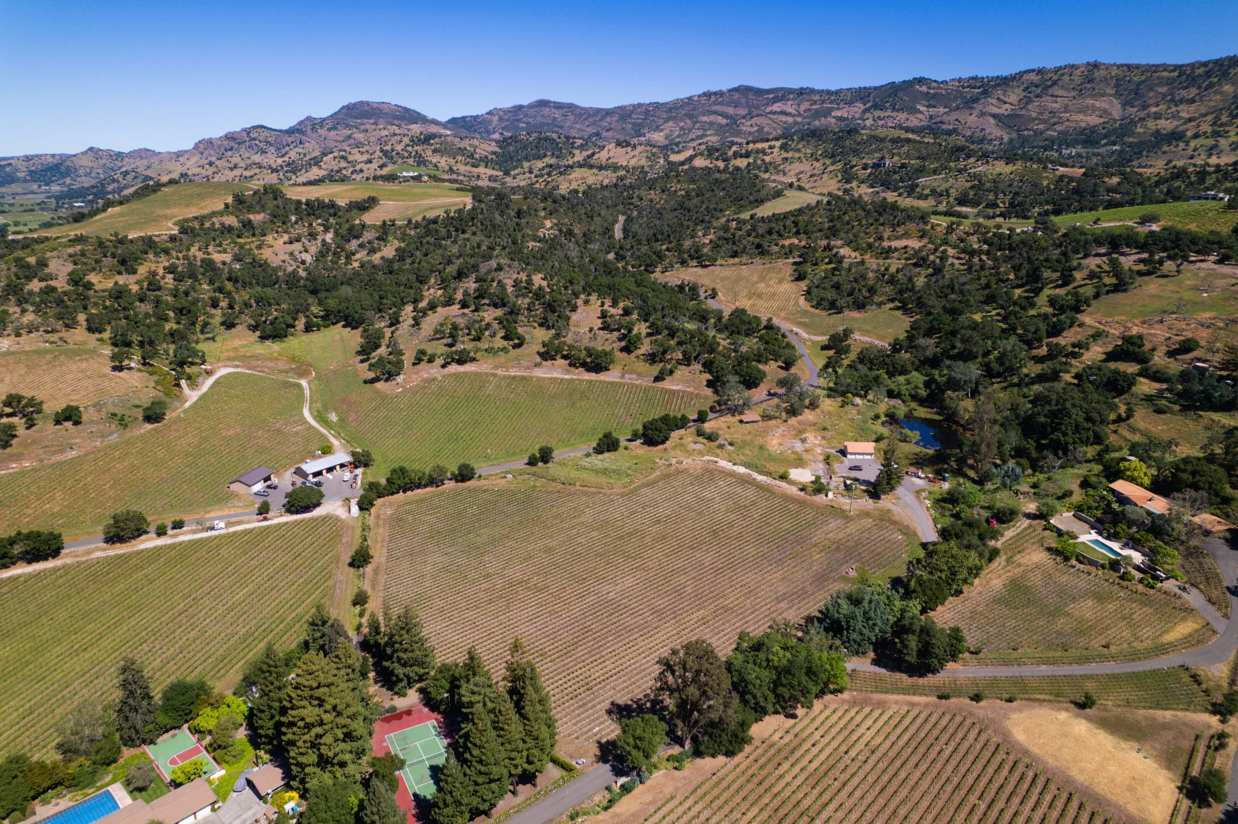Aerial view of a rural landscape with vineyards, trees, a few buildings, tennis courts, and mountains in the background under a clear blue sky.