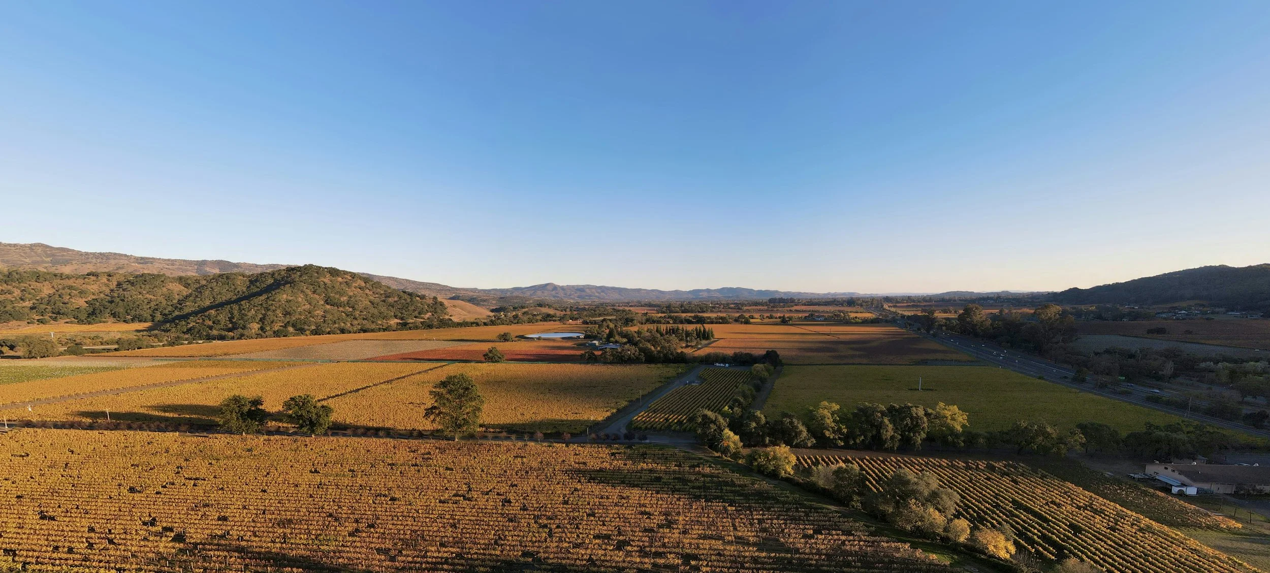 Aerial view of a rural landscape with vineyards, fields, mountains, and a highway under a clear blue sky.