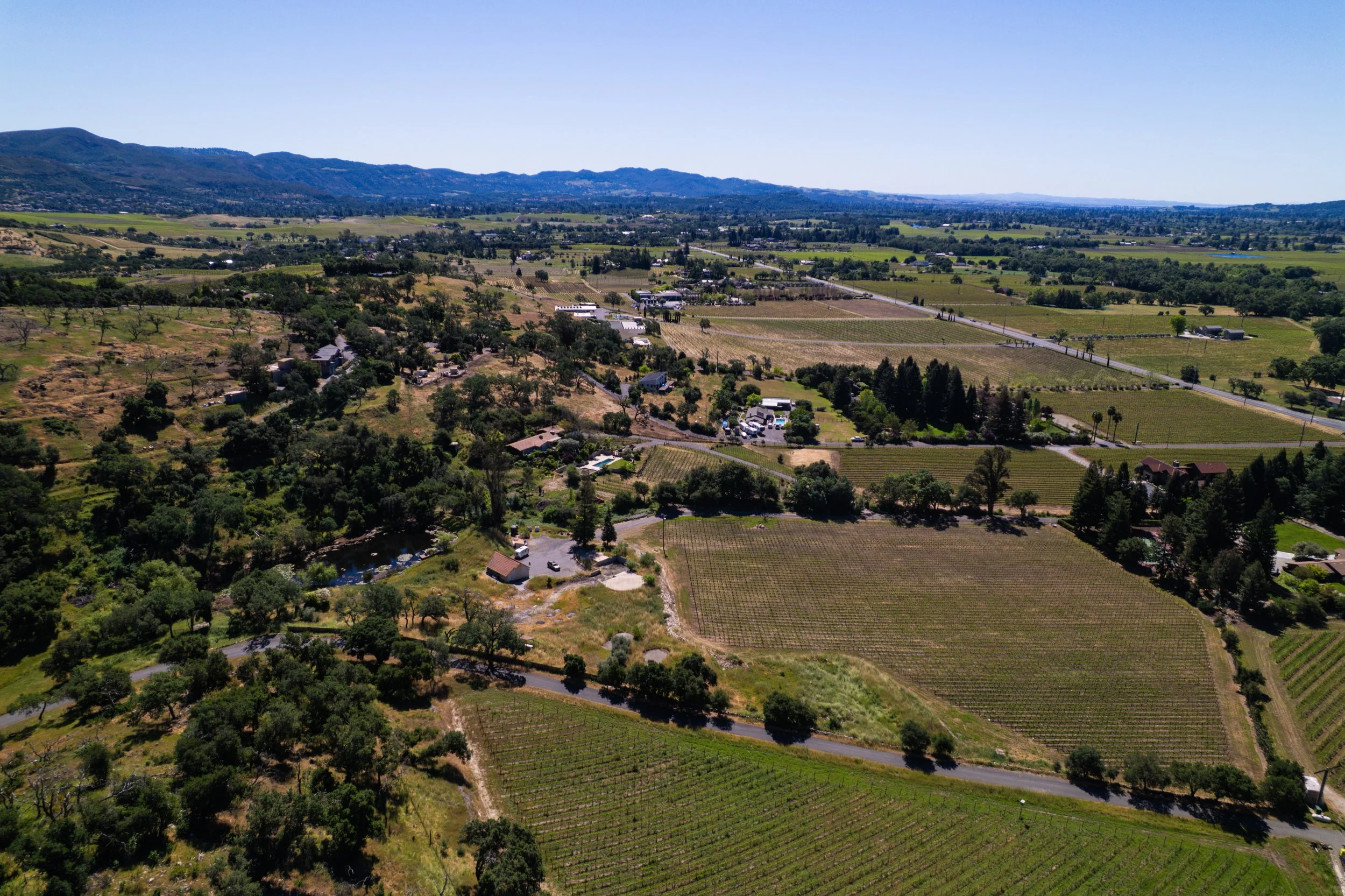 Aerial view of a rural landscape with vineyards, trees, houses, roads, and mountains in the background under a clear blue sky.