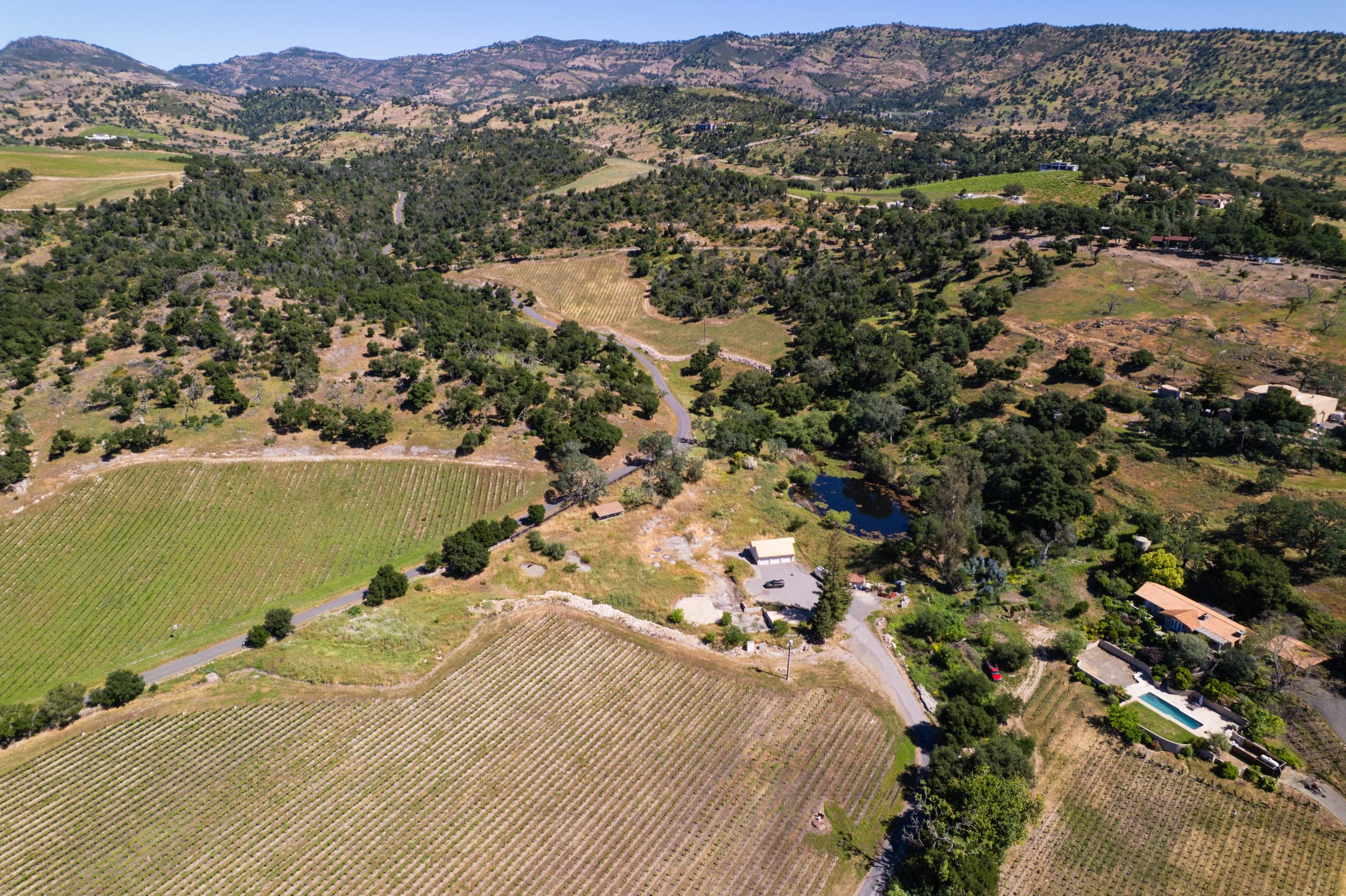 Aerial view of a hilly landscape with vineyards, scattered houses, and winding roads, surrounded by trees and mountains under a clear blue sky.