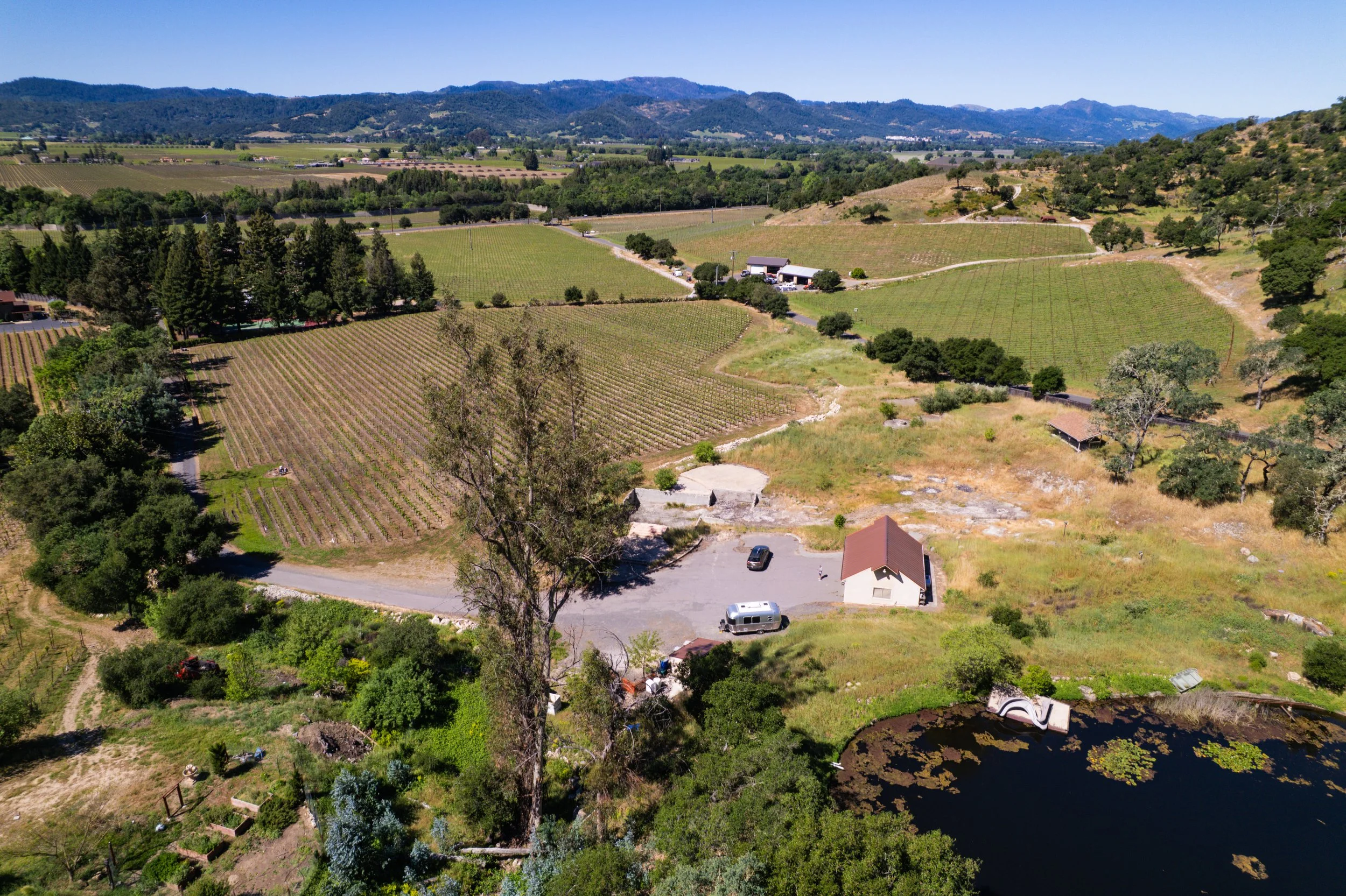 An aerial view of a lush vineyard in a hilly landscape with a small pond in the foreground and mountains in the background, under a clear blue sky.