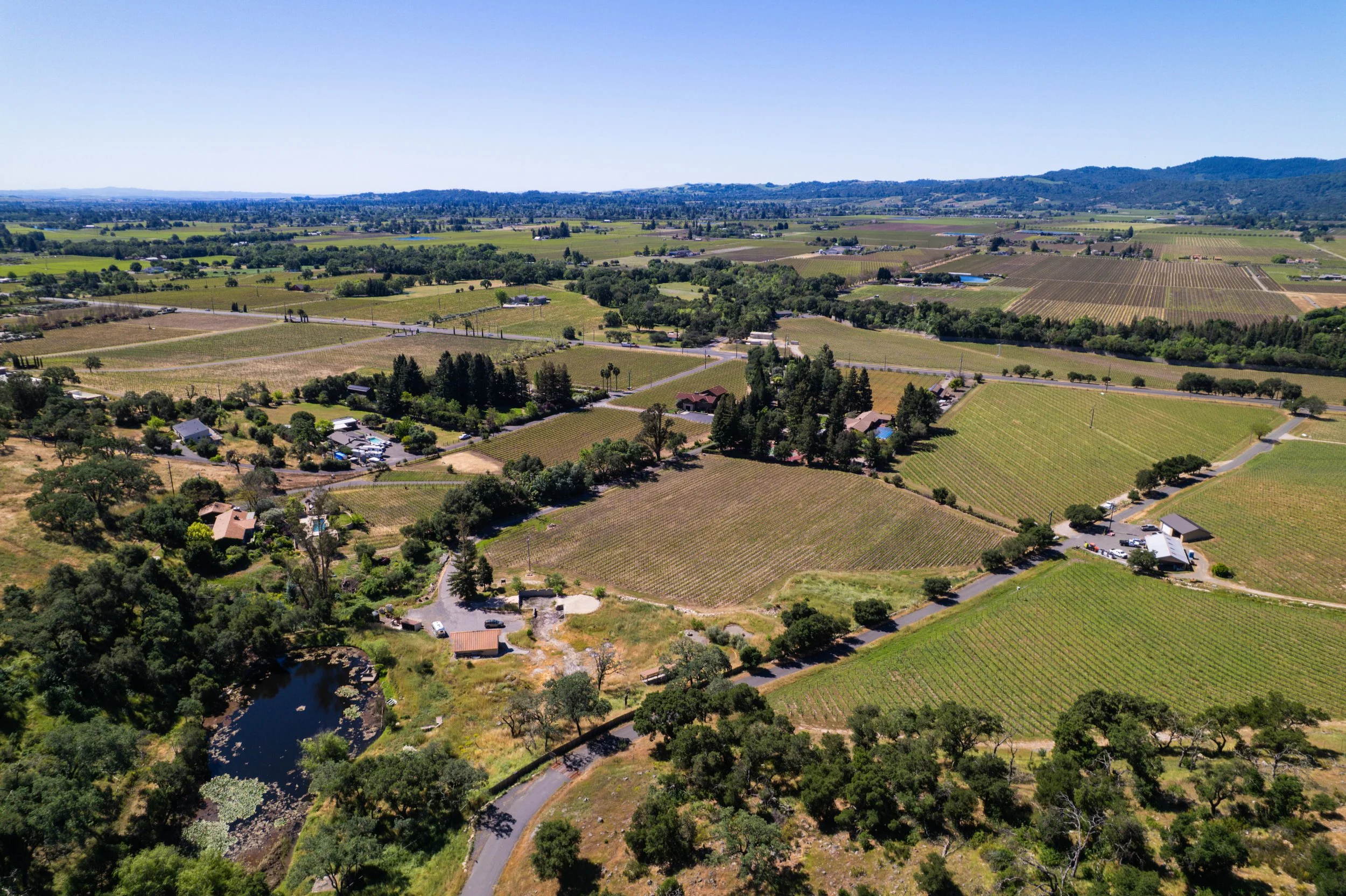 Aerial view of a rural landscape with vineyards, houses, trees, a small lake, and surrounding hills under a clear blue sky.