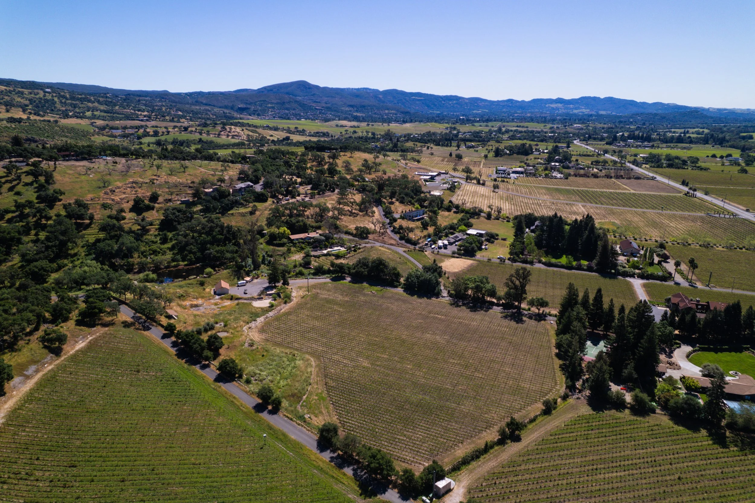 Aerial view of a rural landscape with vineyards, trees, houses, roads, and distant mountains under a clear blue sky.