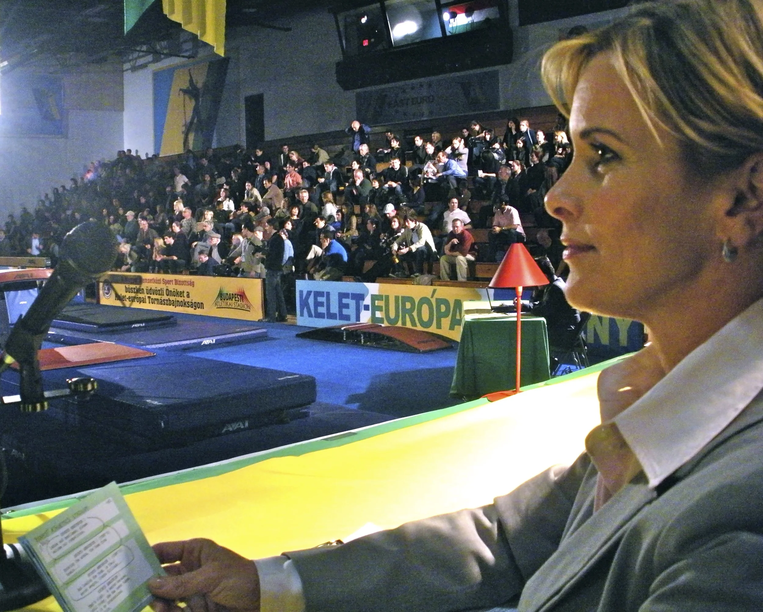 MAKE IT OR BREAK IT - Recurring Anchorwoman at the girl’s gymnastic meets