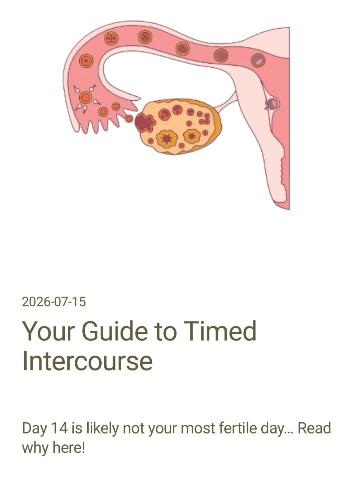 🚨NEW BLOG POST ALERT 

Timed intercourse should not be overwhelming or confusing! 

TOO many times I have a patient sitting in front of me who is missing their fertile window!!

Check out my blog post on timed intercourse for more information!

Read