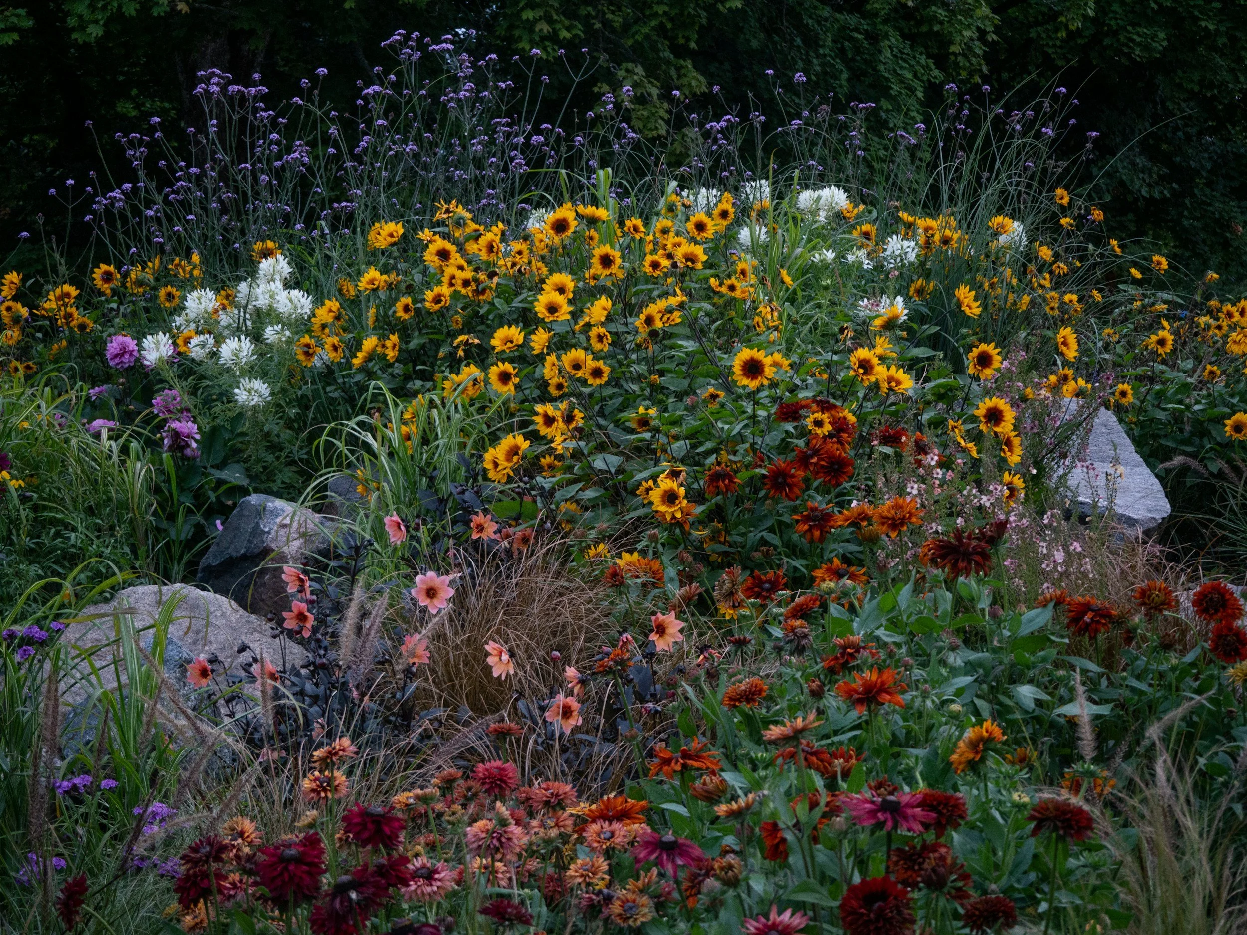 10 Simple Ways to Savor Summer