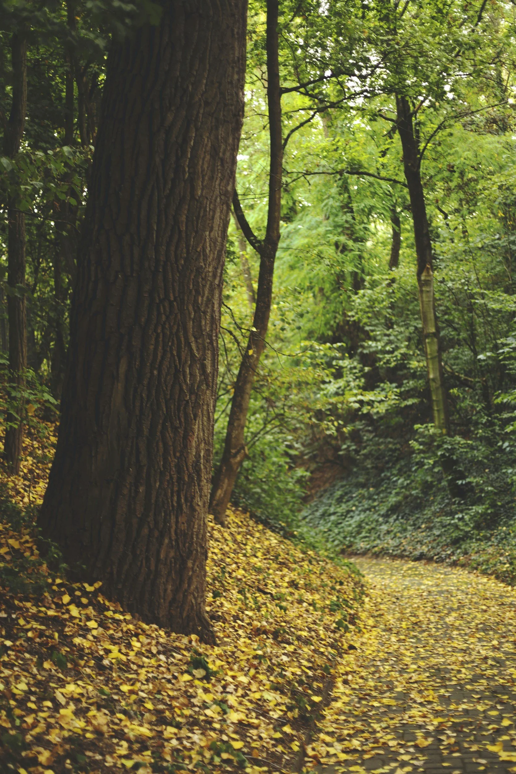 Seasons of Life: A Season of Change