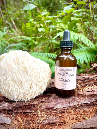 Lions Mane Tincture