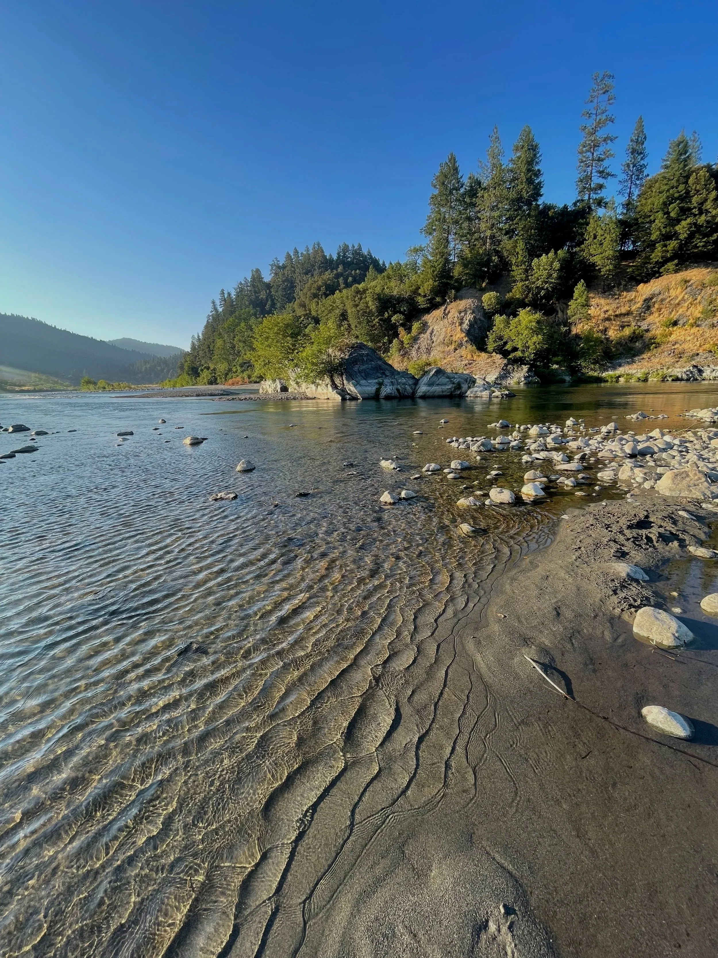 A river flowing through a forested landscape with rocky shores and a clear blue sky.