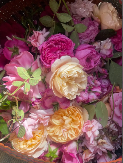 Rose Hydrosol