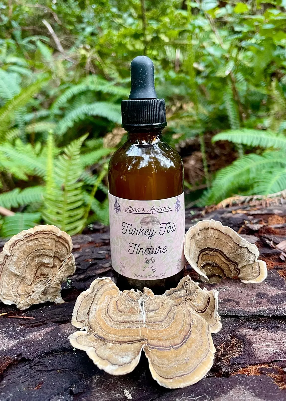 Turkey Tail Tincture
