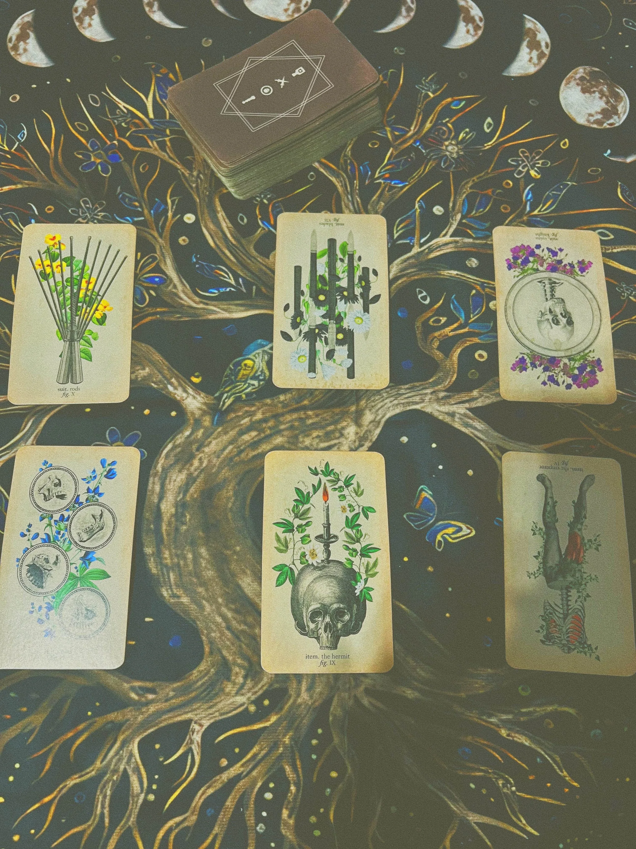 Seed of Awareness Reading