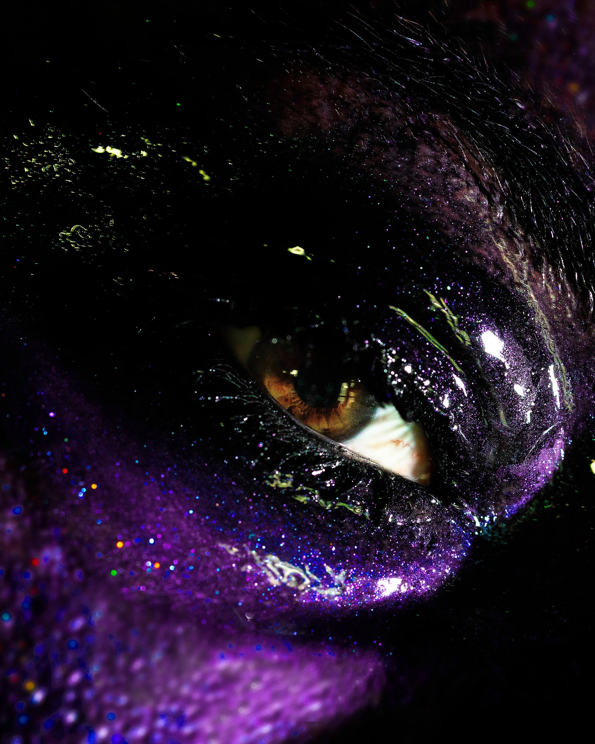 Concept Development • Makeup Design • Photography • Retouching