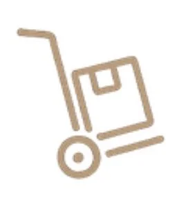 Icon of a shopping cart with a box inside it.