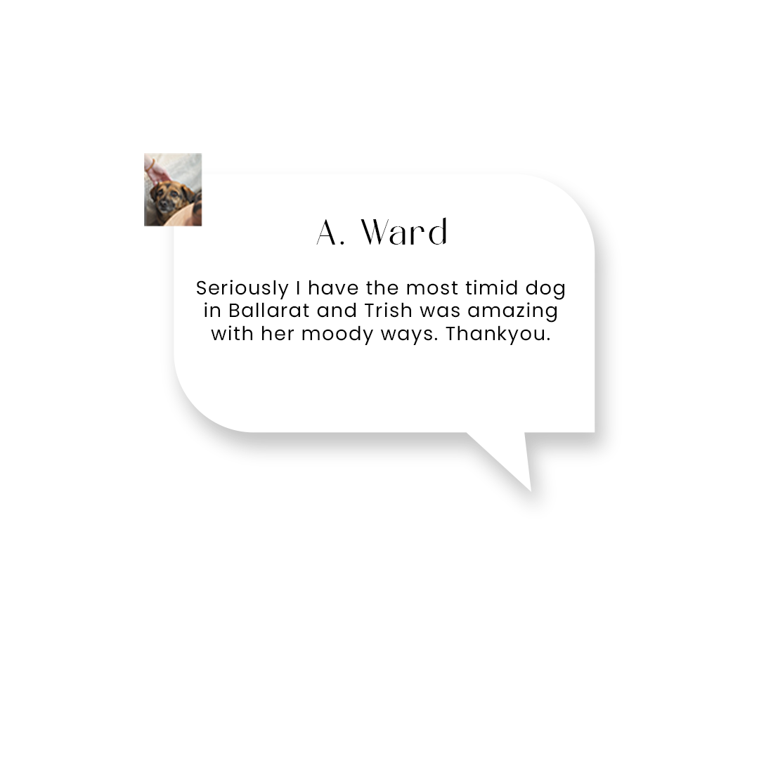 testimonial 1.png