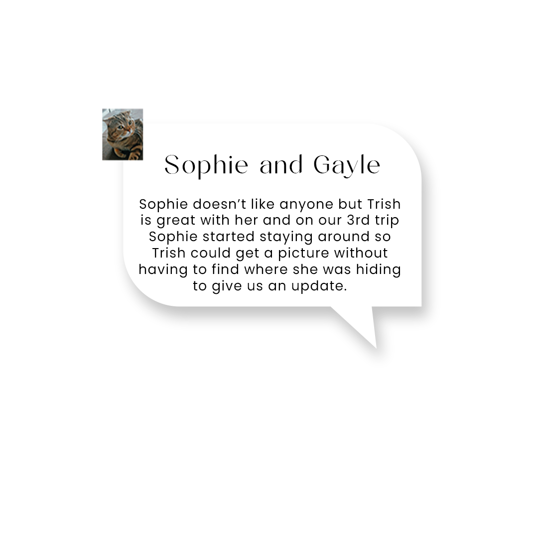 testimonial 2.png