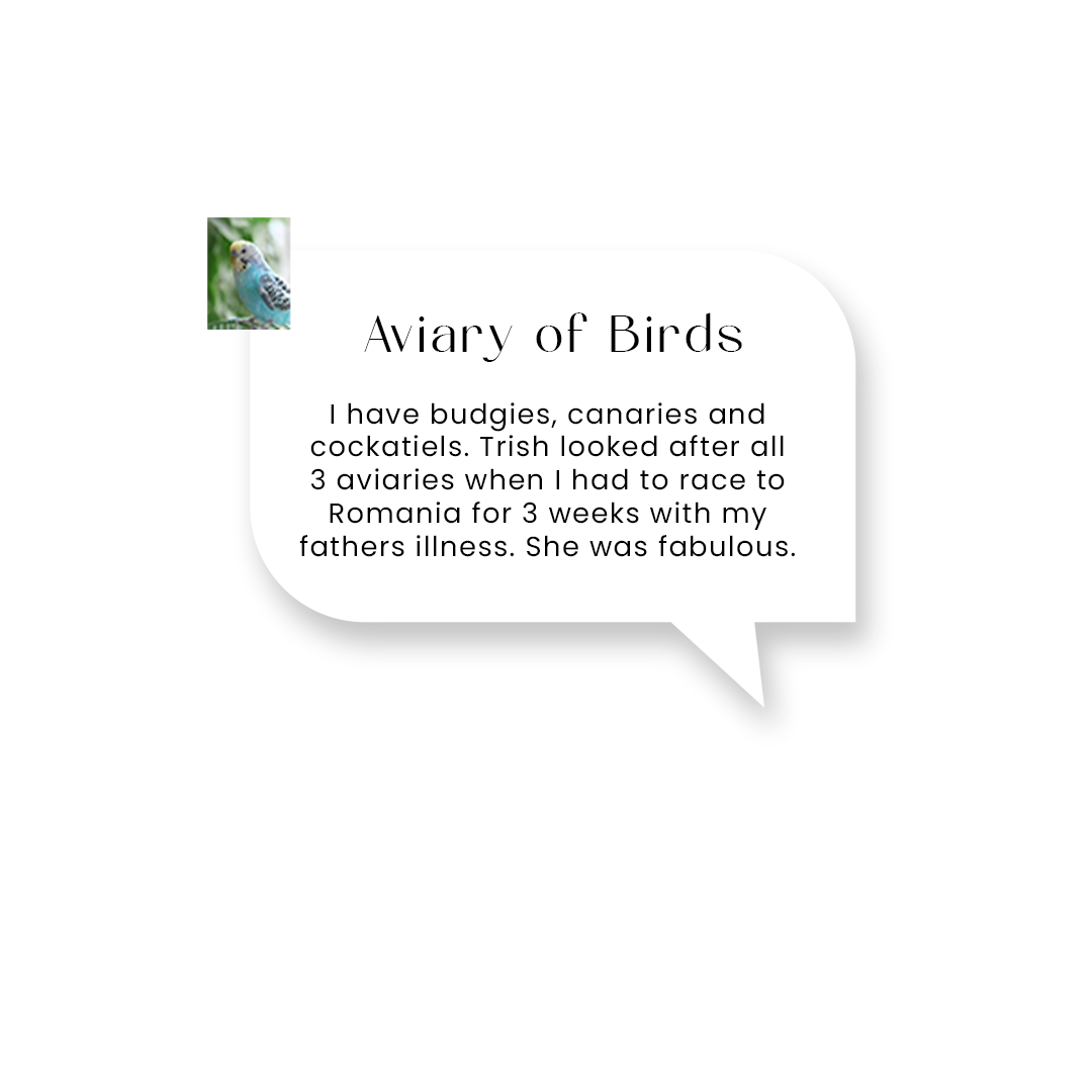 testimonial 4.png