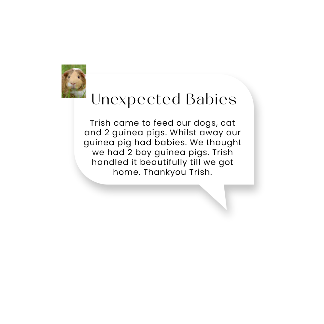 testimonial 5.png