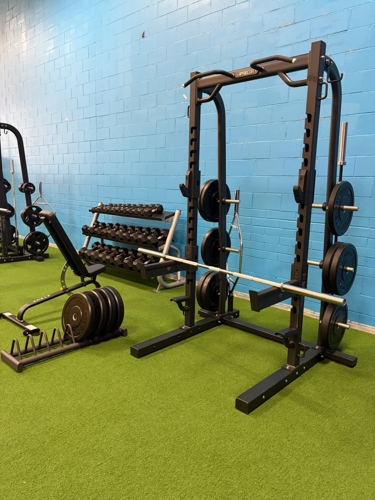A gym with various exercise equipment including a weight rack, dumbbells, weight plates, and a squat rack against a blue brick wall with green carpet flooring.