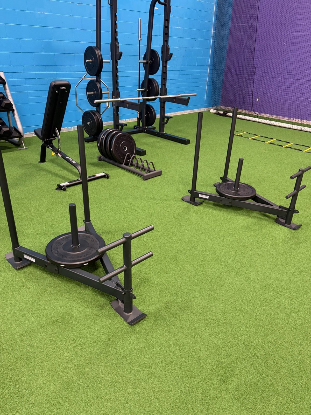 Gym area with green turf floor, featuring weightlifting equipment including barbells, weights, a sled, and an agility ladder, against a blue brick wall with purple netting