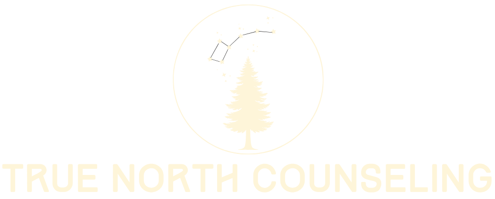 True North Counseling