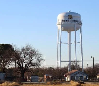 Water tower with 'Seminole Indians' logo and text in a rural area with trees, houses, and power lines.