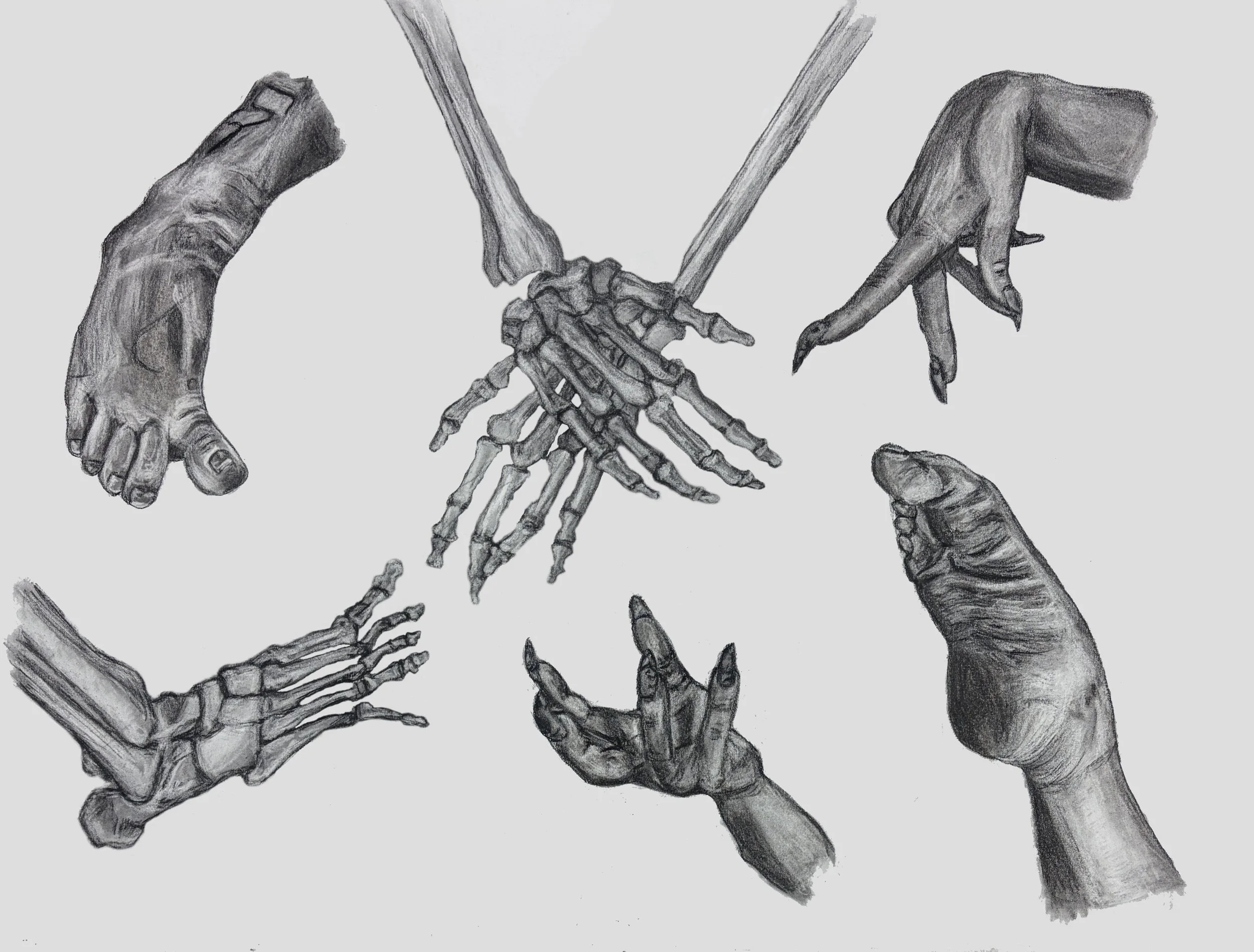 Hands and Feet refined.jpeg